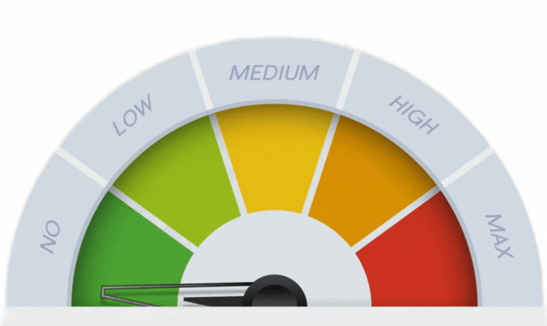 Credit Score Gauge